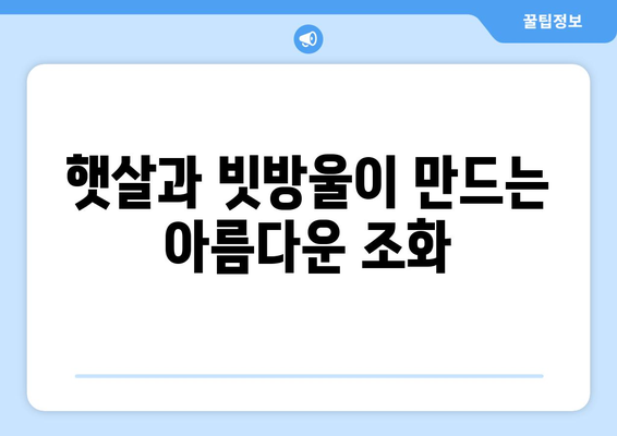 빛과 물방울의 만남| 무지개가 탄생하는 놀라운 과학 | 무지개, 빛의 분산, 굴절, 반사