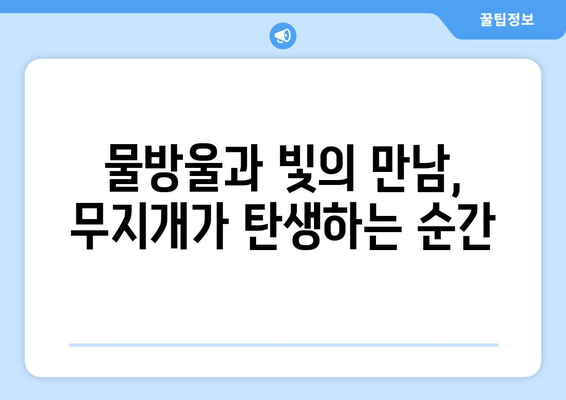 무지개의 비밀| 빛의 여정과 색깔의 분리 | 빛의 굴절, 스펙트럼, 무지개 생성 원리