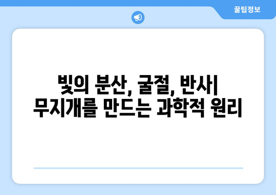 빛과 물방울의 만남| 무지개가 탄생하는 놀라운 과학 | 무지개, 빛의 분산, 굴절, 반사