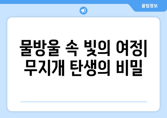 빛과 물방울의 만남| 무지개가 탄생하는 놀라운 과학 | 무지개, 빛의 분산, 굴절, 반사