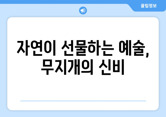 무지개의 비밀| 빛의 여정과 색깔의 분리 | 빛의 굴절, 스펙트럼, 무지개 생성 원리