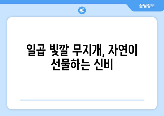 무지개의 비밀| 빛의 춤과 물리적 원리 | 무지개, 빛, 굴절, 반사, 스펙트럼