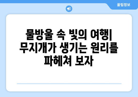 무지개의 신비| 빛의 굴절과 반사의 과학 | 과학, 자연 현상, 빛, 굴절, 반사, 스펙트럼