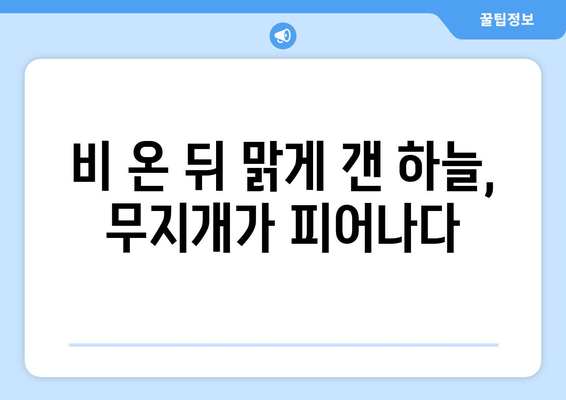 하늘의 마법| 무지개가 만들어지는 과정 심층 탐구 | 과학, 기상 현상, 빛의 분산,  물방울