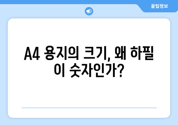 A4 용지의 알파벳-숫자 명명| 흥미로운 사실과 숨겨진 비밀 |  A4 용지, 역사, 숫자, 알파벳, 흥미로운 이야기