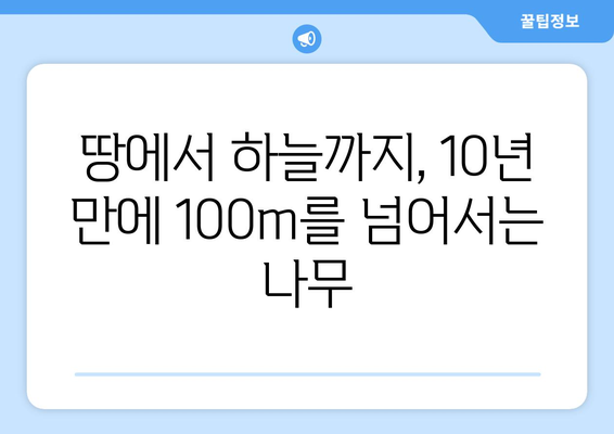 성장의 달인| 믿을 수 없을 정도로 빠르게 자라는 나무 10종 | 놀라운 성장 속도, 숨겨진 비밀