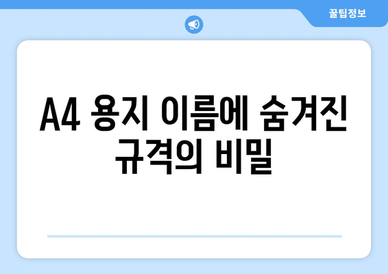 A4 용지 이름에 숨겨진 비밀| 알파벳과 숫자 심벌이 말하는 것 | 용지 종류,  규격, 의미, 정보