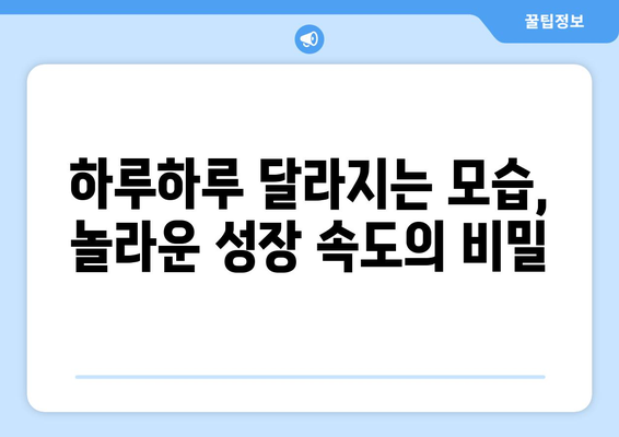 성장의 달인| 믿을 수 없을 정도로 빠르게 자라는 나무 10종 | 놀라운 성장 속도, 숨겨진 비밀