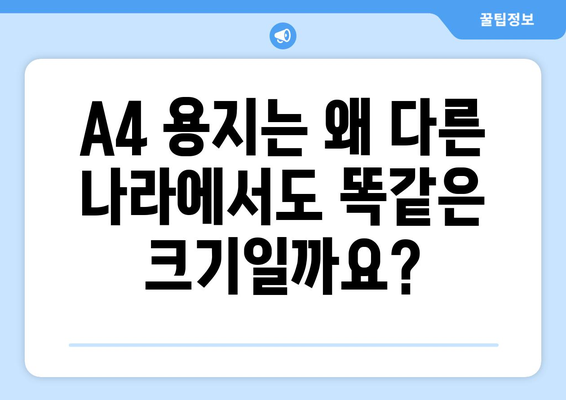 A4 용지의 국제 표준 크기와 알파벳-숫자 명칭| 자세히 알아보기 |  종이 크기,  ISO 216,  규격