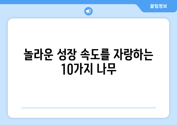 자연의 파워| 가장 성장률 빠른 나무 탑 10 | 빠르게 자라는 나무, 성장 속도, 나무 종류, 조경 팁