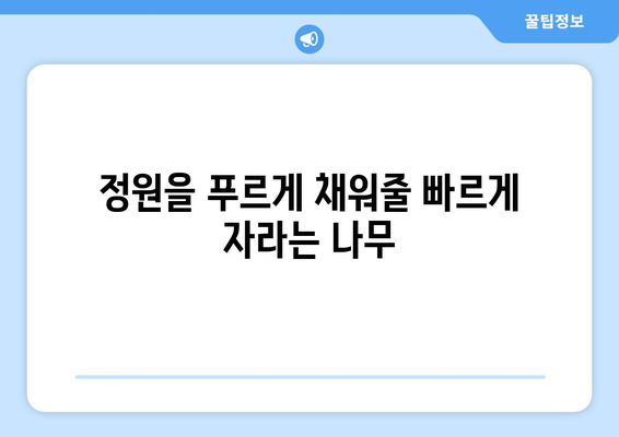 자연의 파워| 가장 성장률 빠른 나무 탑 10 | 빠르게 자라는 나무, 성장 속도, 나무 종류, 조경 팁