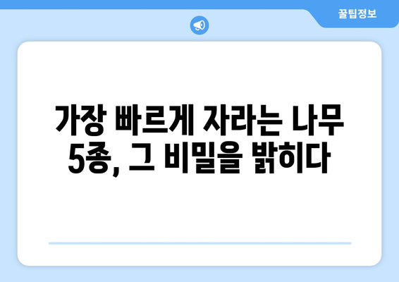 나무의 페라리| 속도가 가장 빠른 나무 종 5가지 | 성장 속도, 나무 종류, 특징 비교