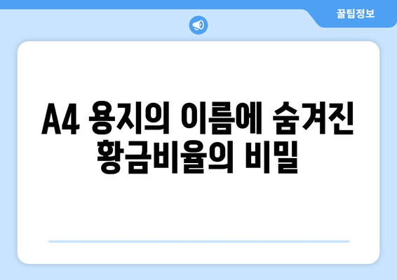 A4 용지 이름의 알파벳-숫자 조합에 숨겨진 놀라운 수학적 비밀 | 숫자, 기하학, 디자인, A4 용지