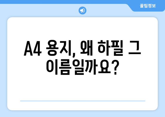 A4 용지, 그 놀라운 이름의 비밀| 숨겨진 역사와 의미 | A4 용지, 용지 크기, 종이 역사, 규격