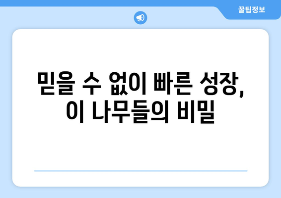 성장의 달인| 믿을 수 없을 정도로 빠르게 자라는 나무 10종 | 놀라운 성장 속도, 숨겨진 비밀