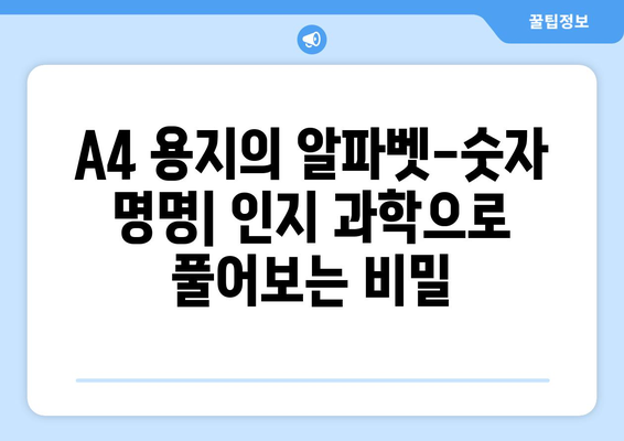 A4 용지의 알파벳-숫자 명명| 인간 인지 능력을 반영하는 시스템 |  인지 심리학, 사용자 경험, 정보 설계