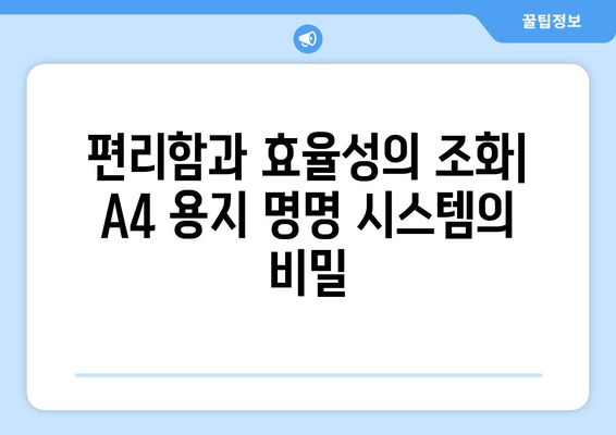 A4 용지의 알파벳-숫자 명명| 인간 인지 능력을 반영하는 시스템 |  인지 심리학, 사용자 경험, 정보 설계