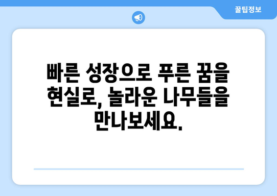 눈에 띄게 빠른 성장! 슈퍼카 같은 나무들| 놀라운 성장 속도를 자랑하는 나무 5종 | 빠른 성장, 나무 종류, 식목