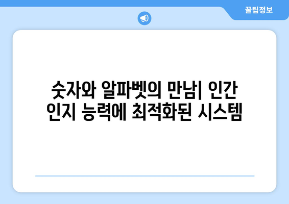 A4 용지의 알파벳-숫자 명명| 인간 인지 능력을 반영하는 시스템 |  인지 심리학, 사용자 경험, 정보 설계