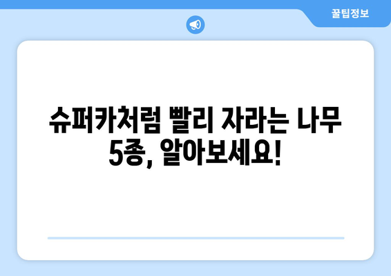 눈에 띄게 빠른 성장! 슈퍼카 같은 나무들| 놀라운 성장 속도를 자랑하는 나무 5종 | 빠른 성장, 나무 종류, 식목