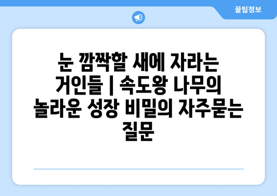 눈 깜짝할 새에 자라는 거인들 | 속도왕 나무의 놀라운 성장 비밀