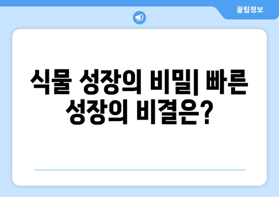 속도 레이싱| 가장 빠르게 자라는 나무 발견! | 나무 성장 속도, 최고 속도 기록, 식물 생장