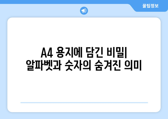 A4 용지| 알파벳과 숫자가 짜낸 기적 | 종이 한 장의 놀라운 역사와 비밀