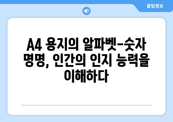 A4 용지의 알파벳-숫자 명명| 인간 인지 능력을 반영하는 시스템 |  인지 심리학, 사용자 경험, 정보 설계