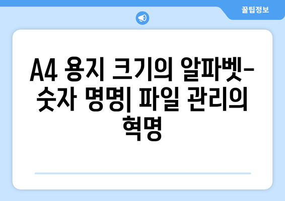 A4 용지 크기의 알파벳-숫자 명명| 단순함 속에 숨겨진 복잡성 | 파일 관리, 명명 규칙, 효율성