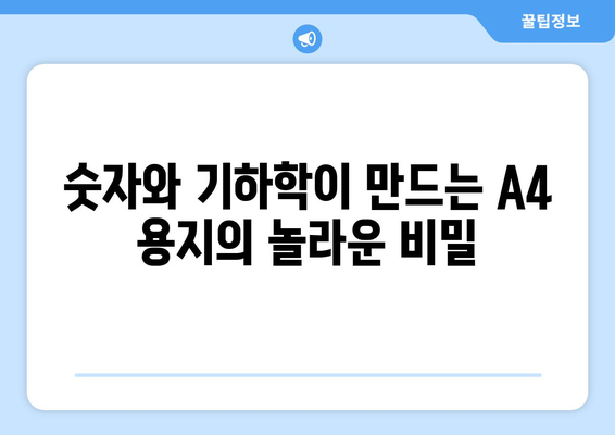 A4 용지 이름의 알파벳-숫자 조합에 숨겨진 놀라운 수학적 비밀 | 숫자, 기하학, 디자인, A4 용지