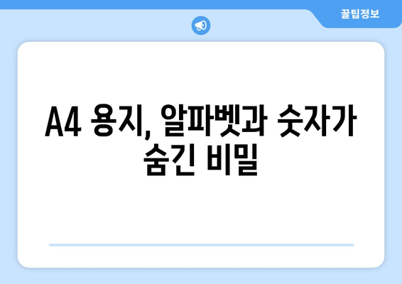 A4 용지의 알파벳-숫자 명명| 흥미로운 사실과 숨겨진 비밀 |  A4 용지, 역사, 숫자, 알파벳, 흥미로운 이야기