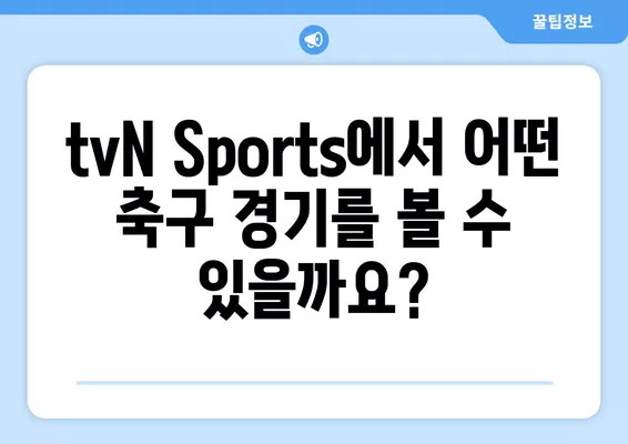 tvN Sports 중계 시청 가이드| 한국, 아랍에미리트, 중국, 일본 축구 생중계 | 인터넷, 티비엔 채널 번호, 축구 경기