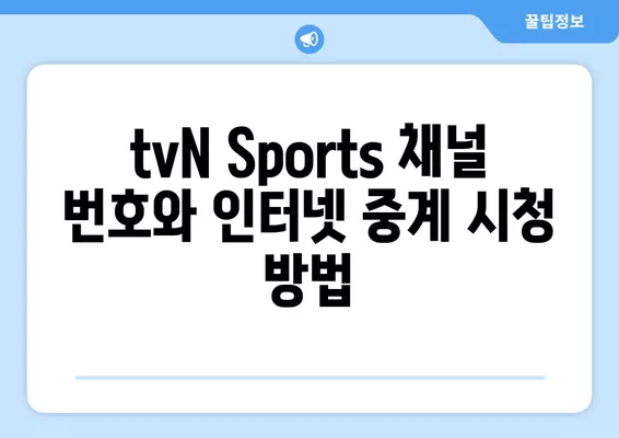 tvN Sports 중계 시청 가이드| 한국, 아랍에미리트, 중국, 일본 축구 생중계 | 인터넷, 티비엔 채널 번호, 축구 경기