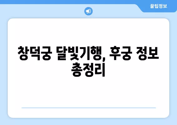 창덕궁 달빛기행 예매 완벽 가이드| 티켓팅, 양도, 취소표, 후기까지! | 2024년 야간개장, 후궁 정보