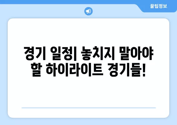 2024 US오픈 테니스 대회| 알카라스 vs 시비옹테크, 우승 향방은? | 대진표, 경기 일정, 하이라이트